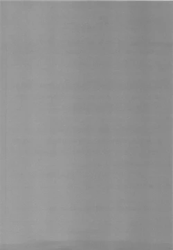 Page 21 of Ore wa Otoko daa!