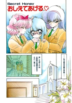 Page 4 of Koakuma Hihoukan