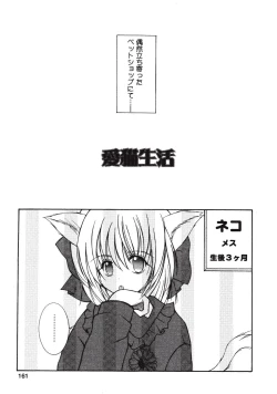 Page 161 of Love Connection