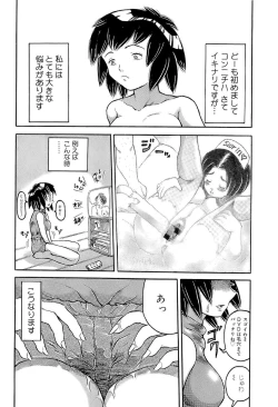 Page 183 of SUMMER FLOWER