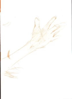 Page 211 of SUNFLOWER