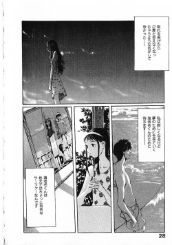 Page 31 of SUNFLOWER