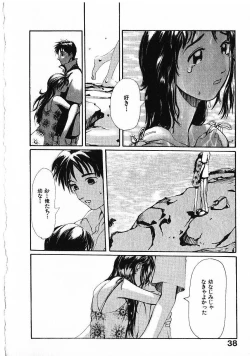 Page 41 of SUNFLOWER