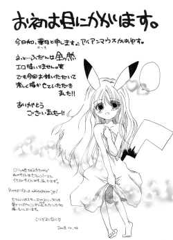 Page 40 of Tsurupeta Kenkyuu Houkokusho "Kessen Zenya" - Turupeta Research Report