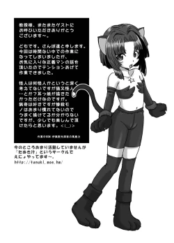 Page 44 of Tsurupeta Kenkyuu Houkokusho "Kessen Zenya" - Turupeta Research Report