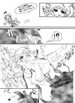 Page 6 of Tsurupeta Kenkyuu Houkokusho "Kessen Zenya" - Turupeta Research Report