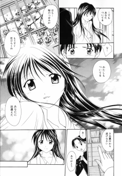 Page 24 of Hoshikuzu Sakura | STAR DUST CHERRY TREE.