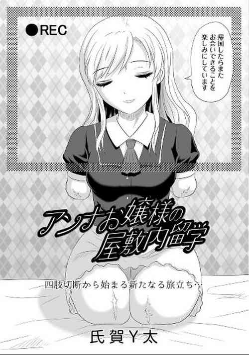 Download Study abroad inLady Anna's mansion