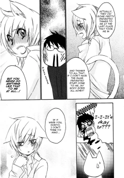 Page 19 of Puchi D VOL. 4 Kemonomimi