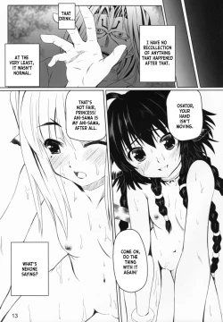 Page 13 of Himitsu no Yakai