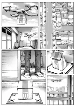 Page 36 of WARDIAN CASE