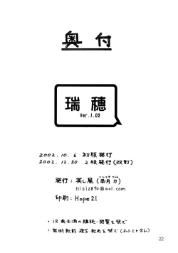 Page 21 of Mizuho Ver. 1.02