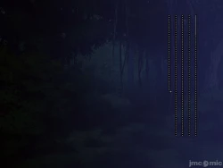 Page 251 of Netorare Ura Shugyou