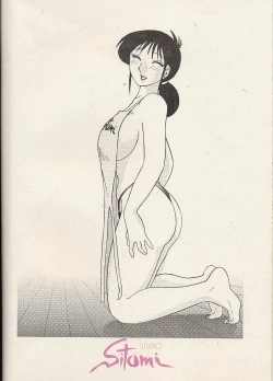 Page 2 of Hisae Haitoku Nikki