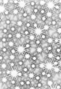 Page 216 of Madonna Party