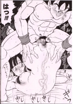 Page 23 of DRAGONBALL H