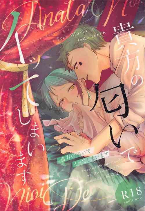 (Beckon of the Mirror 9) [Sumiyaki Teishoku (Toriniku)] Anata no Nioi de Itte Shimaimasu (Disney: Twisted-Wonderland)