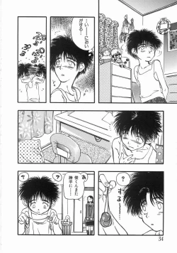 Page 33 of Edible Flower