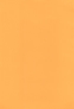 Page 3 of Anime Imouto Ou 2