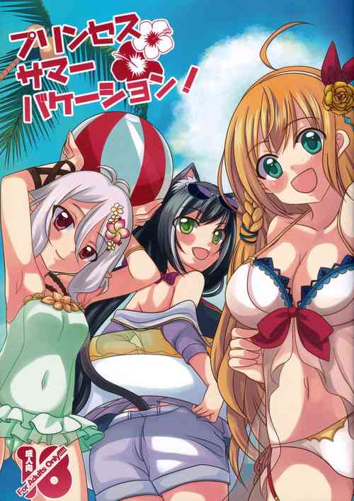 Download Princess Summer Vacation