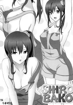 Page 16 of H na Onnanoko wa Suki desu ka?