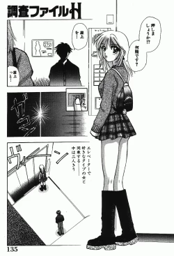 Page 135 of Chousa File H - Investigation File