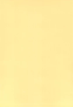 Page 4 of NiSeMoNo 6