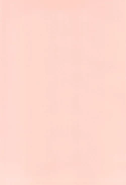 Page 4 of Lucky Furo 1