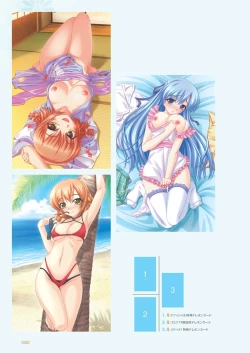 Page 19 of Aogiri Penta Illust Works