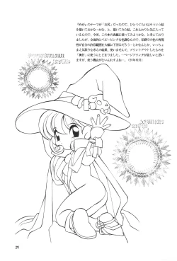 Page 29 of Meishou Misettei