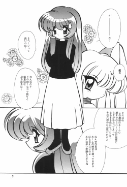 Page 31 of Meishou Misettei