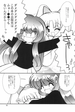 Page 33 of Meishou Misettei