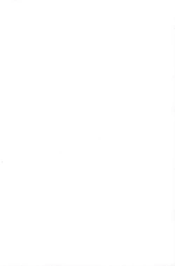 Page 3 of Kotoshi wa Ikenakatta ne, Umi