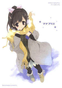 Page 1 of BS#14.5 Mana Plus