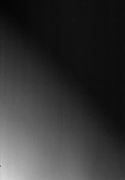 Page 4 of Kyousei Shinkon Seikatsu 2me