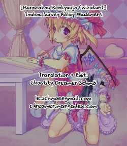 Page 1 of Touhou Survey Relay @Basement