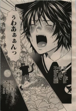 Page 407 of BE・BOY GOLD 2009-04