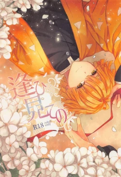 Page 1 of Ai Mite no