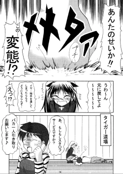 Page 16 of (C70) [HIK (Various)] -GFR- (Fate/stay night)