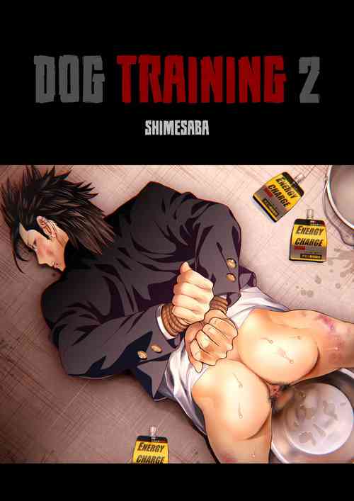 Download Dog Training 2
