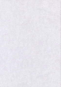 Page 2 of Miko-san no Kichouna Sanran Shiin