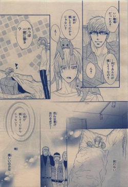 Page 223 of BE・BOY GOLD 2009-12