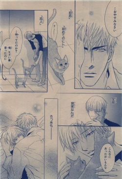 Page 254 of BE・BOY GOLD 2009-12