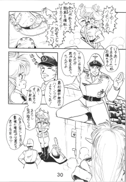 Page 30 of Sieg Heil 2