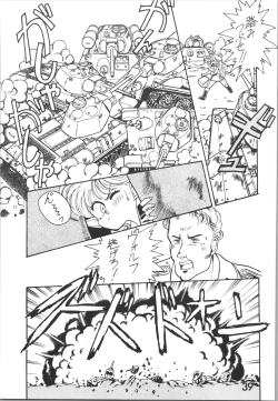 Page 39 of Sieg Heil 2