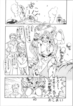 Page 40 of Sieg Heil 2