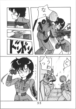 Page 55 of Sieg Heil 2