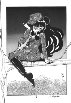 Page 5 of Sieg Heil 2