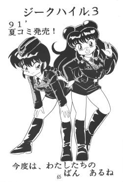 Page 65 of Sieg Heil 2