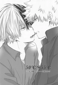 Page 3 of 50°C ~ 55°C